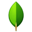 MongoDB technology — Mobile App Developer Sayedul Marsalin